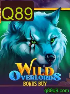 Explorando o Mundo de WildOverlordsBonusBuy